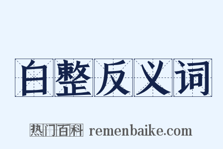 白整反义词是什么意思的图片
